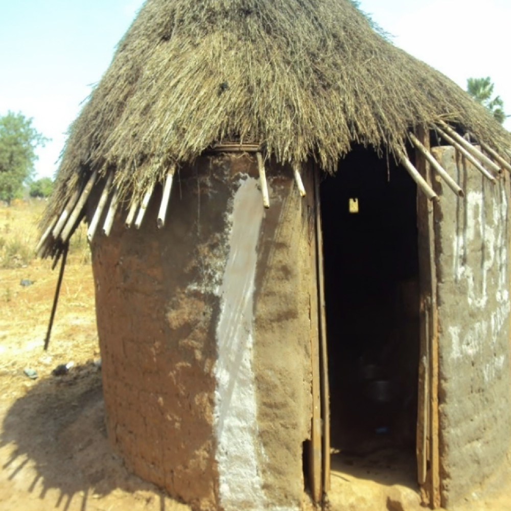 Holistic Child Development